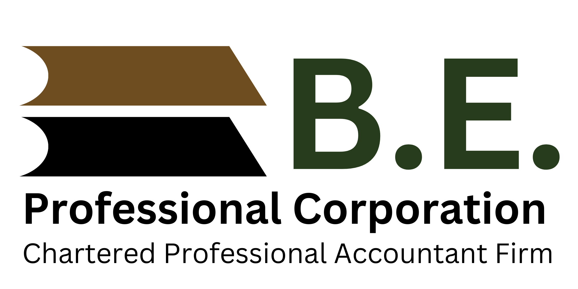 BE Chartered Professional Accountant Logo